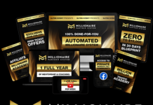 Millionaire Partner System